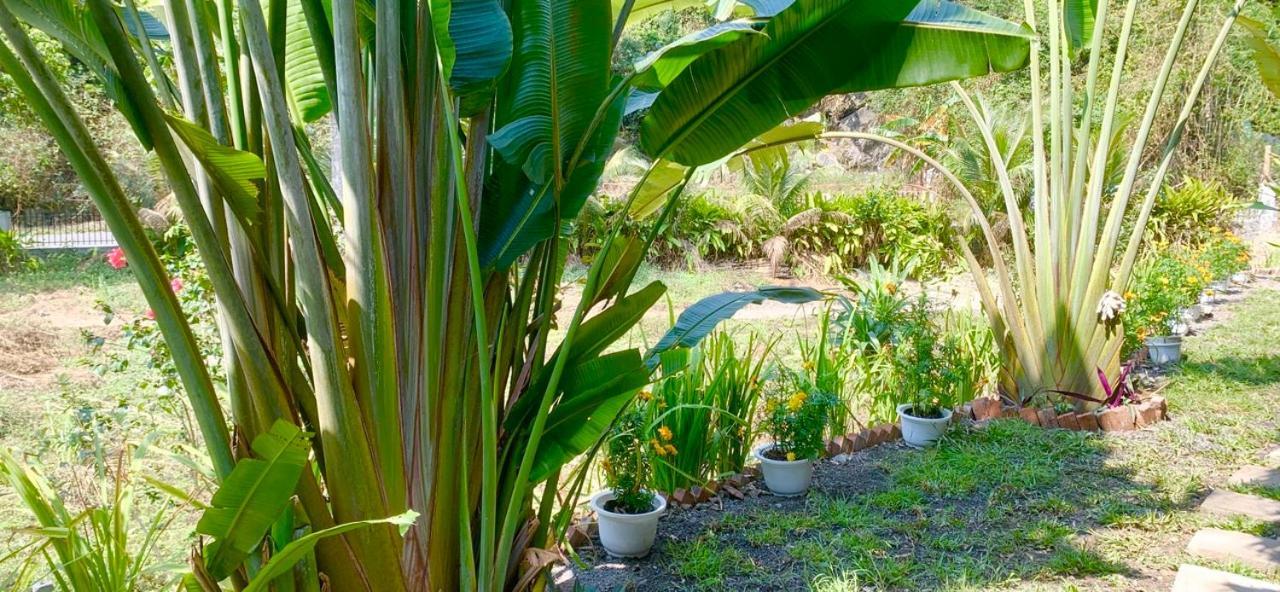 Cat Ba Island Garden Homestay - Papillon Exterior photo