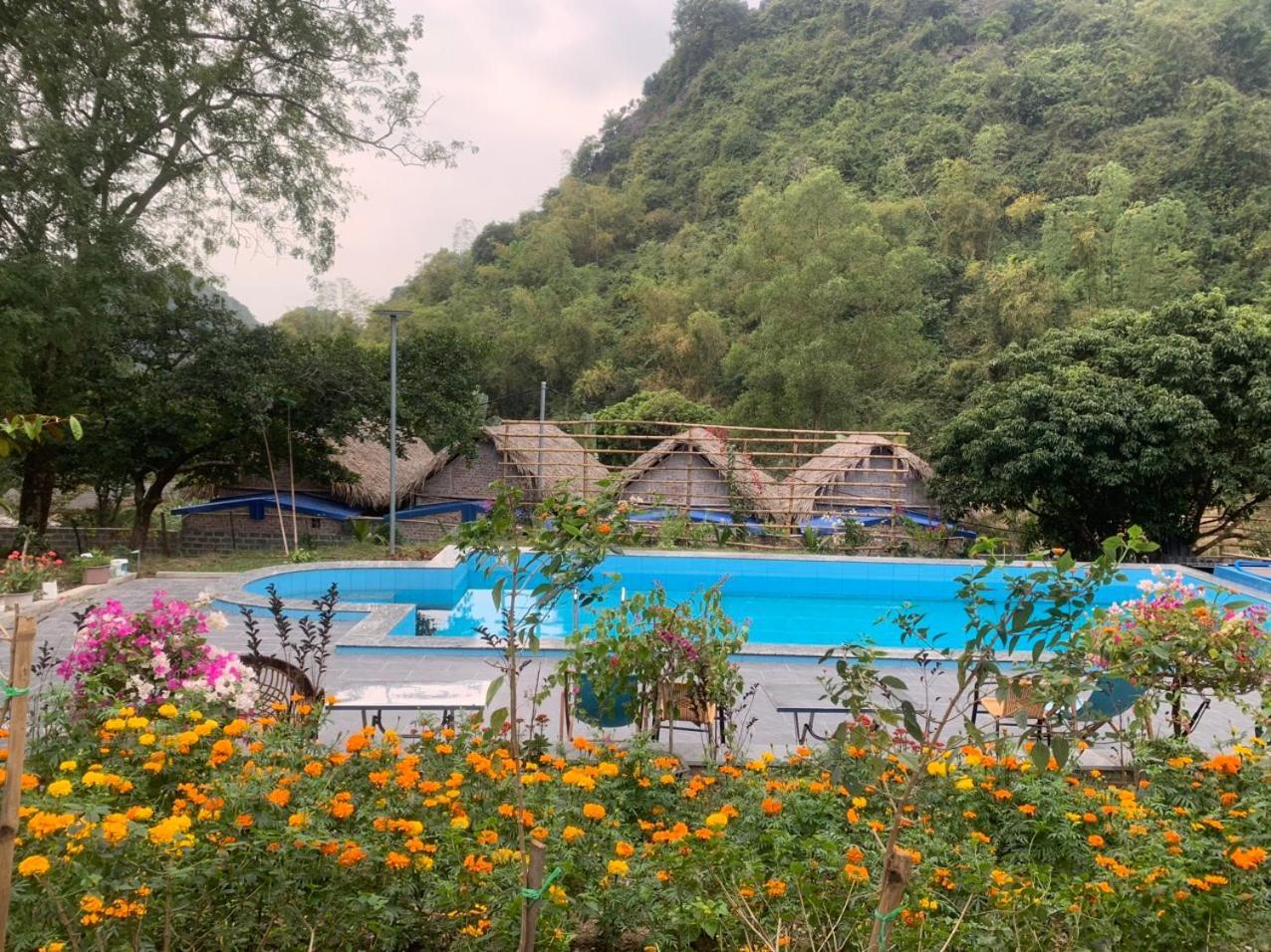 Cat Ba Island Garden Homestay - Papillon Exterior photo